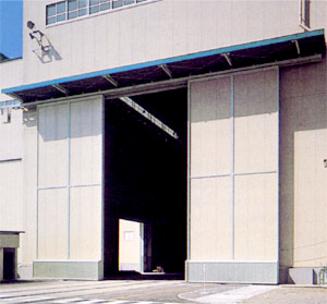 Heavy Pintu Otomatis DSN-500